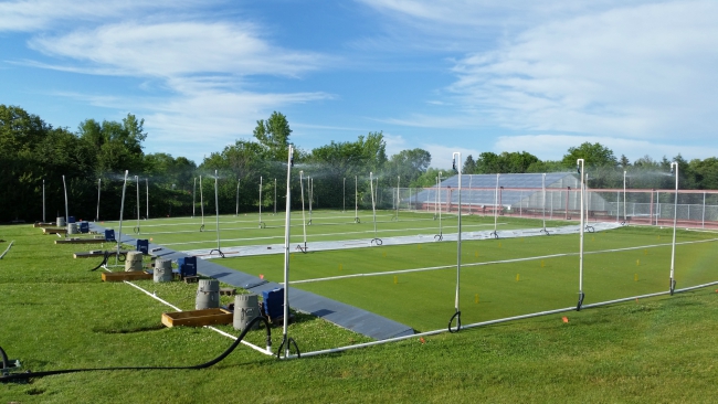 Here's an image of Dr. Rice's turfgrass plots.
